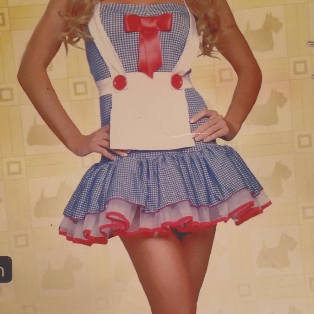 Sexy Dorothy Costume size Small/Medium